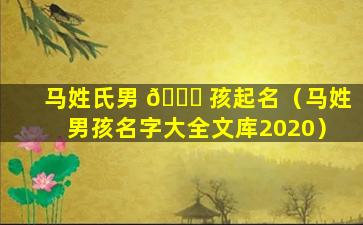 马姓氏男 🍀 孩起名（马姓男孩名字大全文库2020）